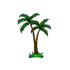 Easy step by step tutorial on how to draw a palm, pause the video at every step to follow the steps carefully. How To Draw Palm Trees Step By Step Easy Drawing Guides Drawing Howtos