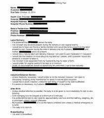 Birth Plans For First Time Moms Pdf Mommy S Obsessions In Hospital Birth Plan Free Template Personal Example Birth Plan Template Hospital Birth Plan Birth Plan