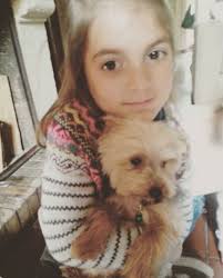 Se perdió Tito el perrito de mi hermana. Se ofrece recompensa para el que  reconozca su paradero o lo traiga a la dirección cardozo 658. Por favor  compartir y si saben algo