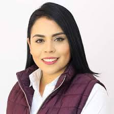 El mexiquense Hoy: Así quedaron integrados los siete grupos parlamentarios  de la XL Legislatura del Estado de México