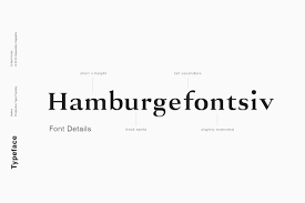 Since a font's point size is measured from the descender to the ascender. Selma A Classy Serif Typeface In 2020 Typeface Serif Typeface Serif
