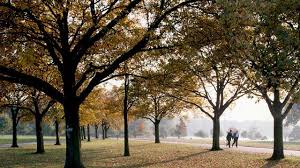 Hyde park is one of london's eight royal parks and covers an area of 350 acres. Hyde Park Grosser Park Visitlondon Com