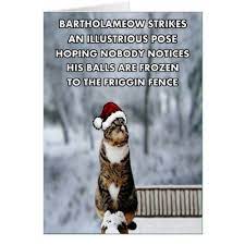 Funny Christmas Cat Holiday Card Zazzle Com Christmas Cats Funny Cat Christmas Cards Cat Christmas Cards