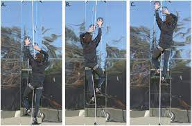 Beginner climbing activities introduce new climbers or young climbers to the climbing wall so they can gradually build their comfort, confidence and climbing skills. Gecko Inspired Pads Allow Researchers To Climb Glass Wall