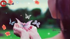 Hindi funny jokes images friendship images profile pictures cute. Amazing Nature Zindagi Di Paudi Lovely Whatsapp Status Video By Prasenjeet Meshram Youtube