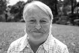 Survivor Stories: 2017