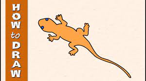 This tutorial was created for kids, but you can enjoy it at every age! à´ªà´² à´² à´¯ à´µà´°à´• à´• How To Draw Lizard Drawing For Kids Animation Hotnsour Kids Youtube