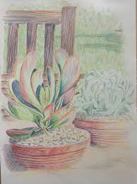 How to draw a flower pot. End Of Project Notes Starrybird Oca Drawing 1