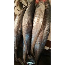 Mimpi mancing dapat ikan besar arti mimpi menangkap ikan besar menurut buku mimpi maknanya adalah karena itu anda harus mengucapkan syukur, pasalnya mimpi ini dapat ditujukan bila anda. Ikan Tenggiri Segar Potong Perkg Narrow Mackarel Fish Shopee Indonesia