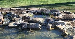 Adding A Bog To A Koi Pond Glenelg Md Also Referred To As Quot Wetlands Quot One Definition Pond Water Features Ponds Backyard Waterfall Koi Pond Backyard