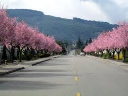 All About Sequim Port Angeles Wa Sequim Washington Sequim