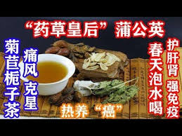 健康合集 痛风 克星 喝水放一点 稳住痛风 尿酸不升高 药草皇后 蒲公英 春天泡水喝护肝肾强免疫 喝热茶 吃热菜热饭是养 癌 不是养生 make it yourself enjoyment