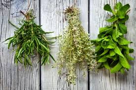 Maybe you would like to learn more about one of these? How To Grow Winter Herbs