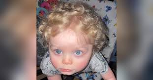 Grayson Wayne "Gray Bug" Pedigo Obituary