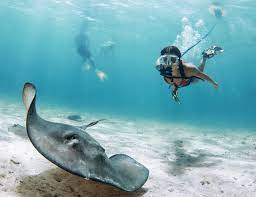 Nemo Portable Dive System By Blu3 Gadget Flow