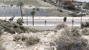 Riley Anderson Hentai Porn Videos: XXX 2025, 6 | xHamster