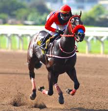 Ausente El Virrey, Final Call será la figura en el Luis Olaechea Du Bois