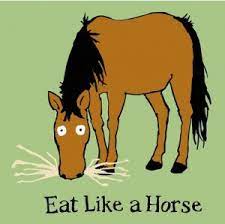Why Do Horses Eat Weird Things David Ramey Dvmdavid Ramey Dvm