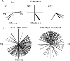 Pdf | this study investigated the added value, i.e. Target Interception Hand Eye Coordination And Strategies Journal Of Neuroscience
