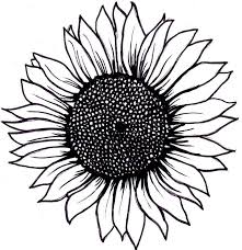 Draw a smaller circle inside the bigger one. Easy Drawing Ideas Sunflower Happy Emotion