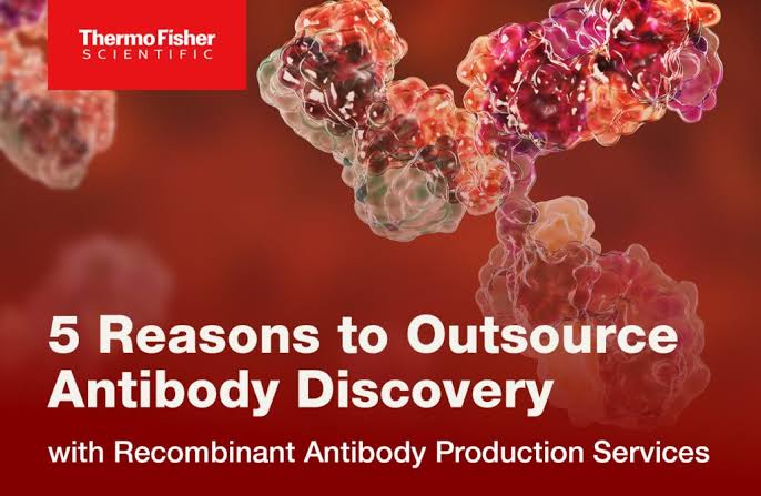 5 Reasons to Use Recombinant Antibody Production Services