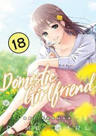 Domestic Girlfriend
