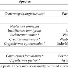 Here in hawaii, termite and pest control plays a very important role in our lives. Esr Ages Of Corals From Barbers Point Hawaii Download Table