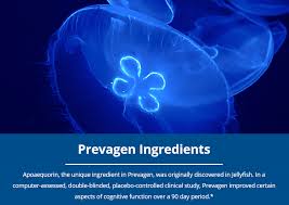 Prevagen's natural boost to memory and concentration could be a great option for anyone looking to make life flow more easily. Prevagen Review The Good And Bad Of This Brain Supplement