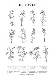 Birth Month Flowers Google Search In 2020 Birth Month Flowers Birth Flowers Birth Flower Tattoos