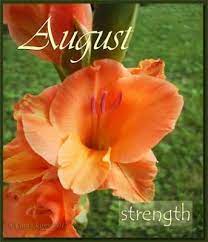 Florals Family Faith August Flower Of The Month Gladiola August Birth Flower Birth Month Flowers Birth Flowers
