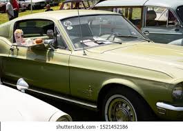 Image result for Green 1968 Fleet