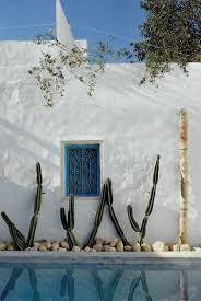 Cactus Et Piscine Terrasse Jardin Maison De Vacances Deco Exterieure