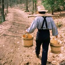 Y is for�Yoke! A yoke is a very important device when working with a team&nbsp; of oxen� and oxen were instrumental to farming in early 19th-century New&nbsp; England! They were strong and