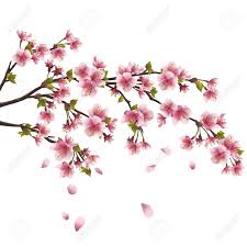Japan Illust Google 검색 Art De Fleur De Cerisier Cerisier Japonais Fleur De Sakura