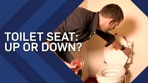 We did not find results for: Toilet Seat Up Or Down Brit Lab Youtube