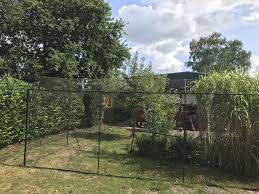 Wir bieten ihnen kurzfristige lieferzeiten, kompetente. Katzennetz Im Garten Katzennetze Onlineshop