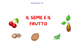 Dal fiore al frutto