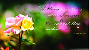 Flowers always make people better, happier, and more helpful; Sunshine And Flowers Quotes Quotesgram