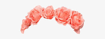 Download Flower Crown Png Image Royalty Free Stock Orange Flower Crown Transparent Transparent Png 500x244 Free Download On Nicepng