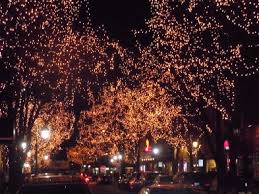 It's hard to know what to plant in the fall. 5 Great Things To Do In Naperville This Thanksgiving Weekend Naperville Il Patch