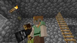 Insane craft minecraft modpack download: Kehaan Pets Mod 1 16 4 Artefacto Objetos Minecraft