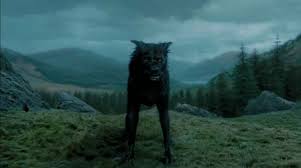 Harry Potter: Hogwarts' Biggest Troublemakers