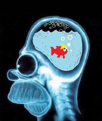 images?q=tbn:ANd9GcSCR4saOMafIjwCpKYSSfIbdBukxbmM6iiaJFhgQvri0dXiF0M_2-2v6-Yl