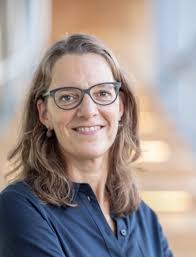 Romeinen aan de Rijnmond