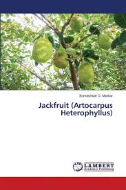 Image result for Artocarpus heterophyllus