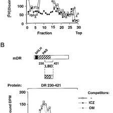 Bei ebay finden sie artikel aus der ganzen welt. Failure Of Omeprazole To Bind The Dioxin Receptor In Vitro A A Download Scientific Diagram