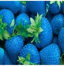 In mehr als 150 laden findet sich bei uns alles für garten und balkon sowie feine geschenke und papeterie. 500 Stucke Grune Erdbeere Samen Obst Samen Garten Samen