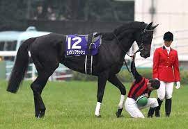 You can see a lot of pictures, upload your, track trends, and communicate! å¤©è¦§ç«¶é¦¬ æ€ã„å‡ºã®å¤©çš‡è³ž 2012å¹´ã‚¨ã‚¤ã‚·ãƒ³ãƒ•ãƒ©ãƒƒã‚·ãƒ¥ ãƒ‡ãƒ ãƒ¼ãƒ­æœ€æ•¬ç¤¼ æ­´å²ã¨æ–‡åŒ– å·¡ç¤¼ã®æ—…æ—¥è¨˜