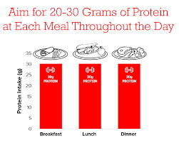 40/30/30 finally, your protein intake comes from applying those percentages to your daily calorie number. Beef Protein