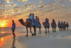 Photo taken by virtuoso travel… Memorable Sunset Ride On The Camels At Cable Beach Review Of Broome Camel Safaris Broome Australia Tripadvisor